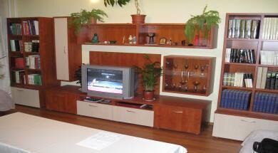 Obývačková stena s knižnicou